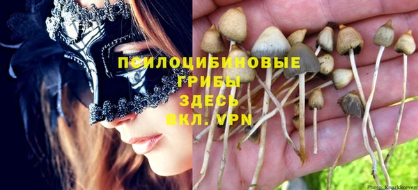 дурь Киренск