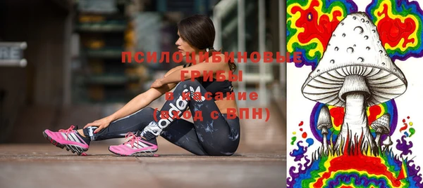 ГАЛЛЮЦИНОГЕННЫЕ ГРИБЫ Киреевск