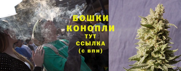 ГАЛЛЮЦИНОГЕННЫЕ ГРИБЫ Киреевск